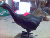 Eine Ente!