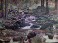 Natur